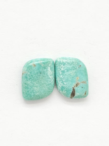Mexican Turquoise Cabochon Pair | Artisan Cut Gemstone