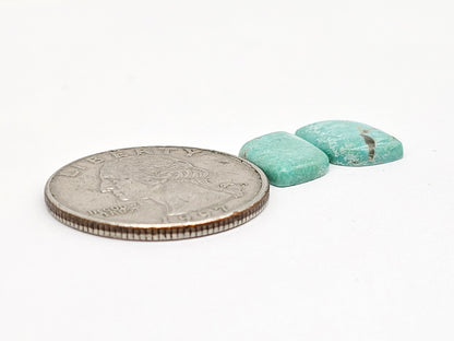 Mexican Turquoise Cabochon Pair | Artisan Cut Gemstone