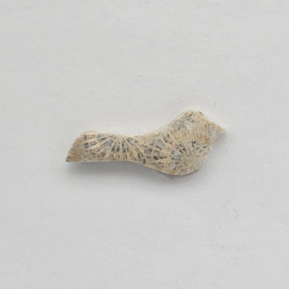 Fossilized Coral Bird Cabochon
