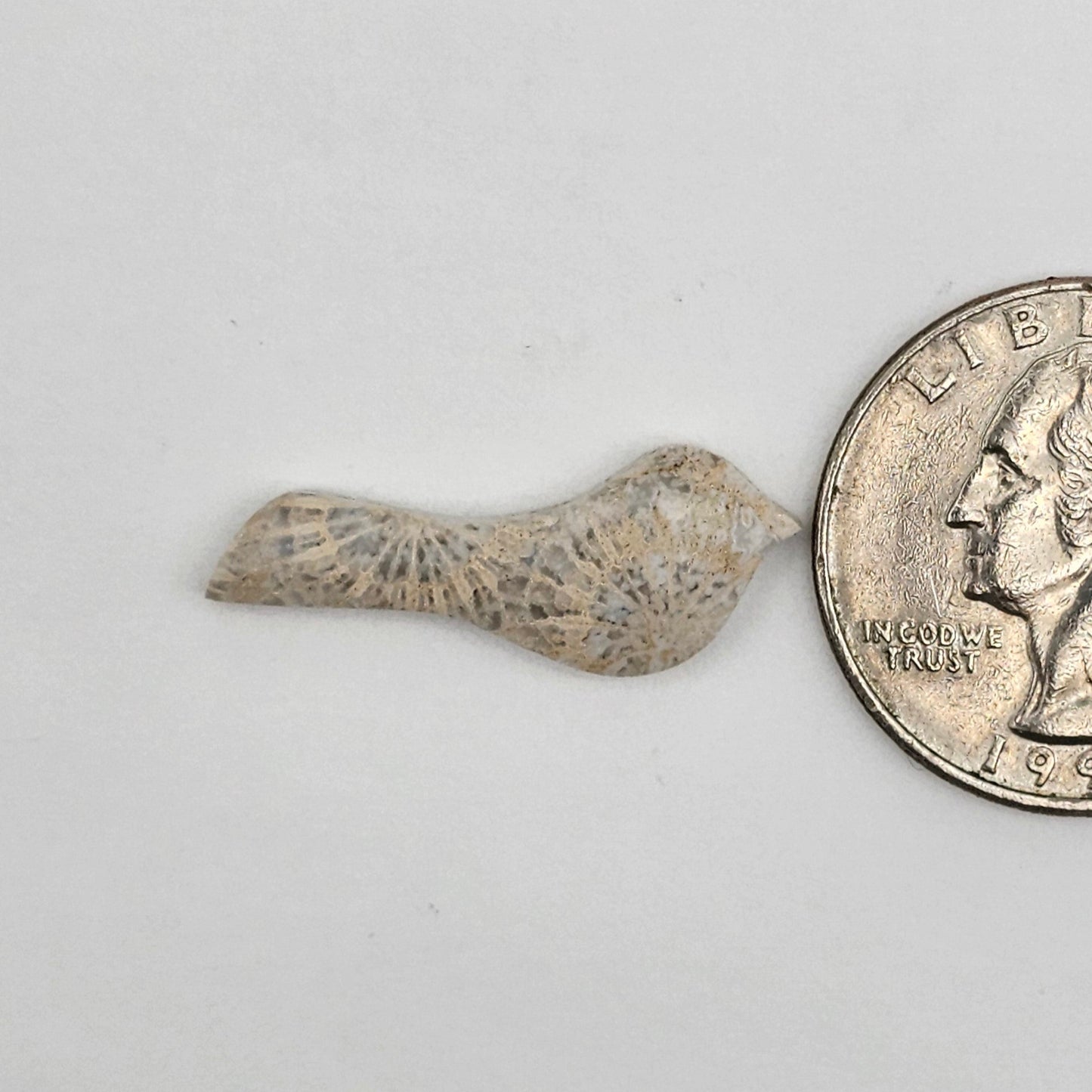 Fossilized Coral Bird Cabochon