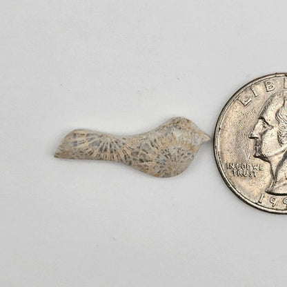 Fossilized Coral Bird Cabochon