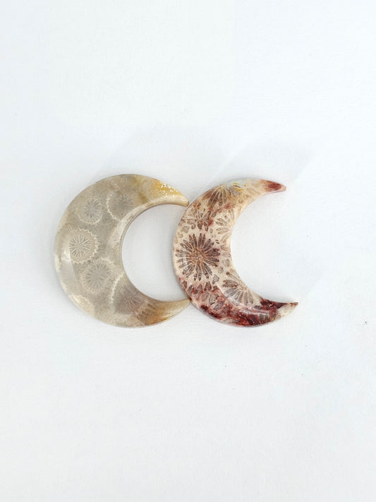 Fossilized Coral Moon Set