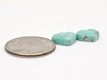 Mexican Turquoise Cabochon Pair | Artisan Cut Gemstone