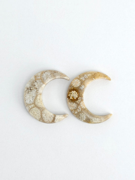 Fossilized Coral Moon Set