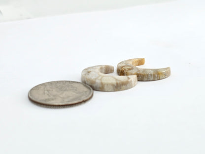 Fossilized Coral Moon Set