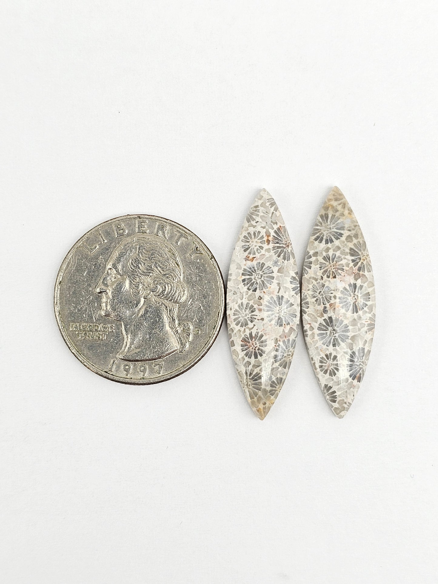 Fossilized Coral Agate Pair