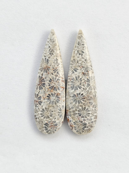 Fossilized Coral Agate Pair