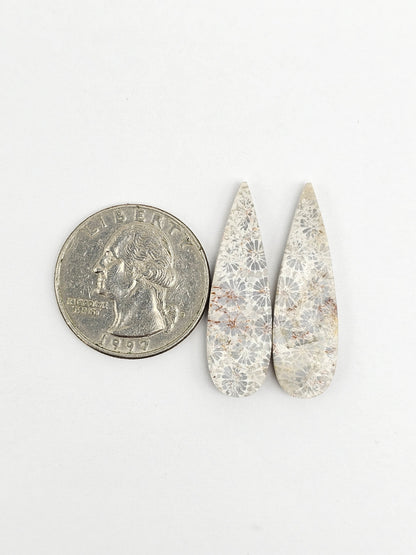 Fossilized Coral Agate Pair