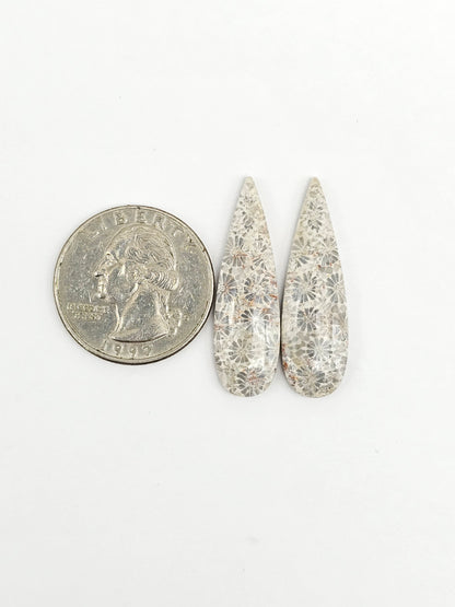 Fossilized Coral Agate Pair