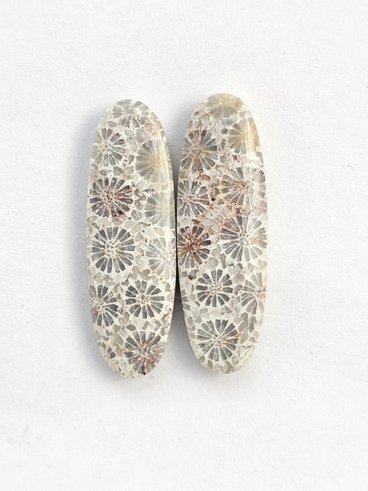 Fossilized Coral Agate Pair