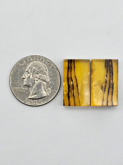 Amber authentic cabochon pair large