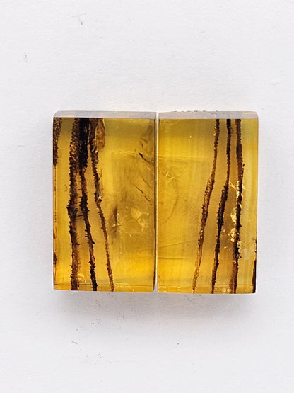 Amber authentic cabochon pair large