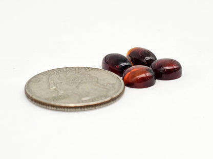 Red Amber Authentic Cabochon Pairs