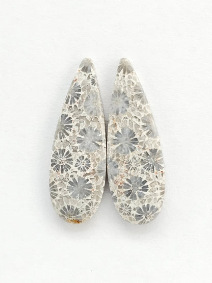 Fossilized Coral Agate Pair