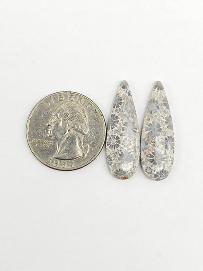 Fossilized Coral Agate Pair
