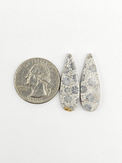 Fossilized Coral Agate Pair