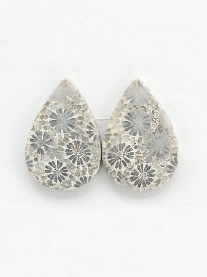 Fossilized Coral Agate Pair