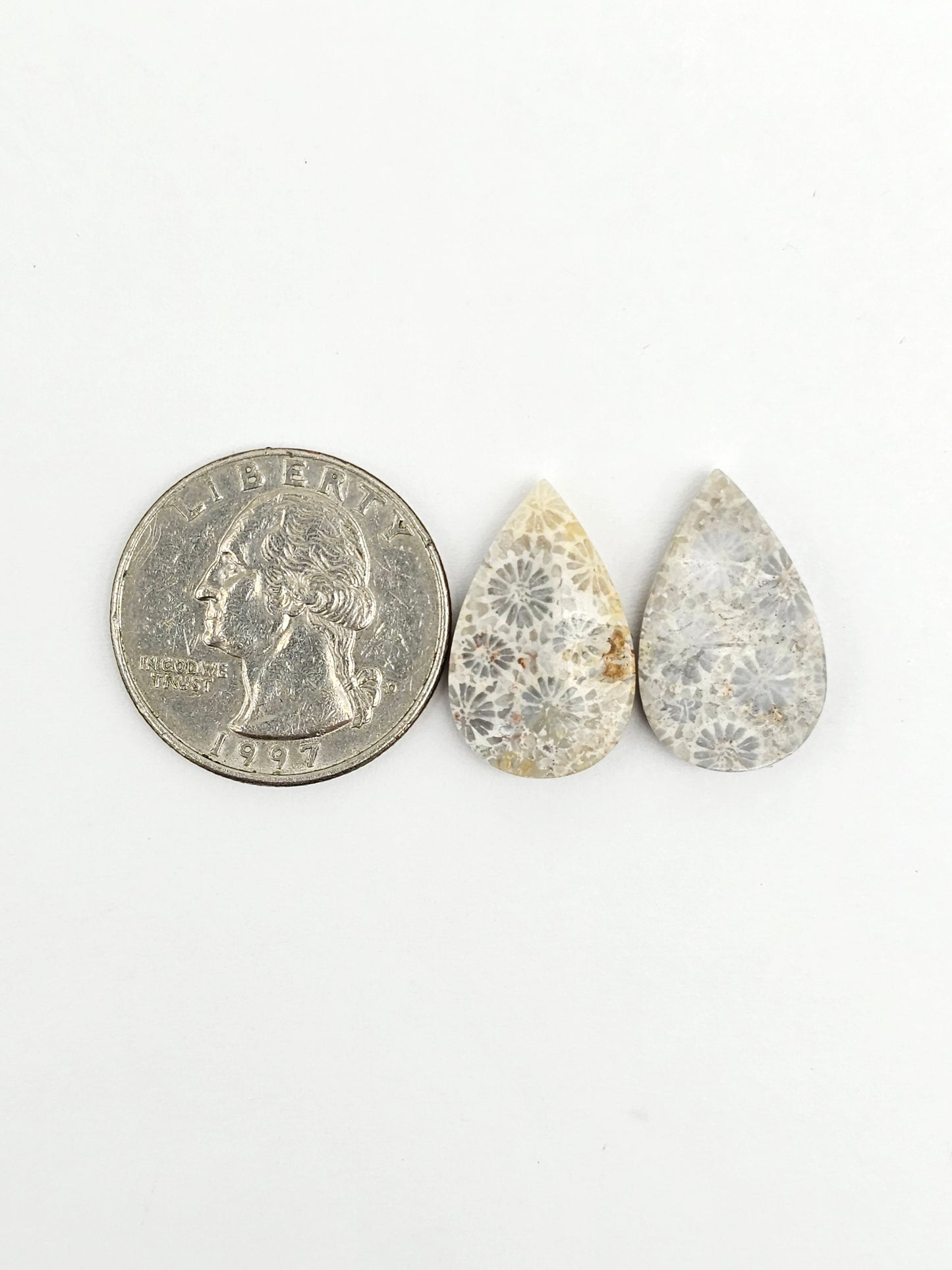 Fossilized Coral Agate Pair