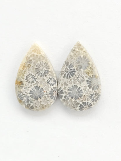 Fossilized Coral Agate Pair