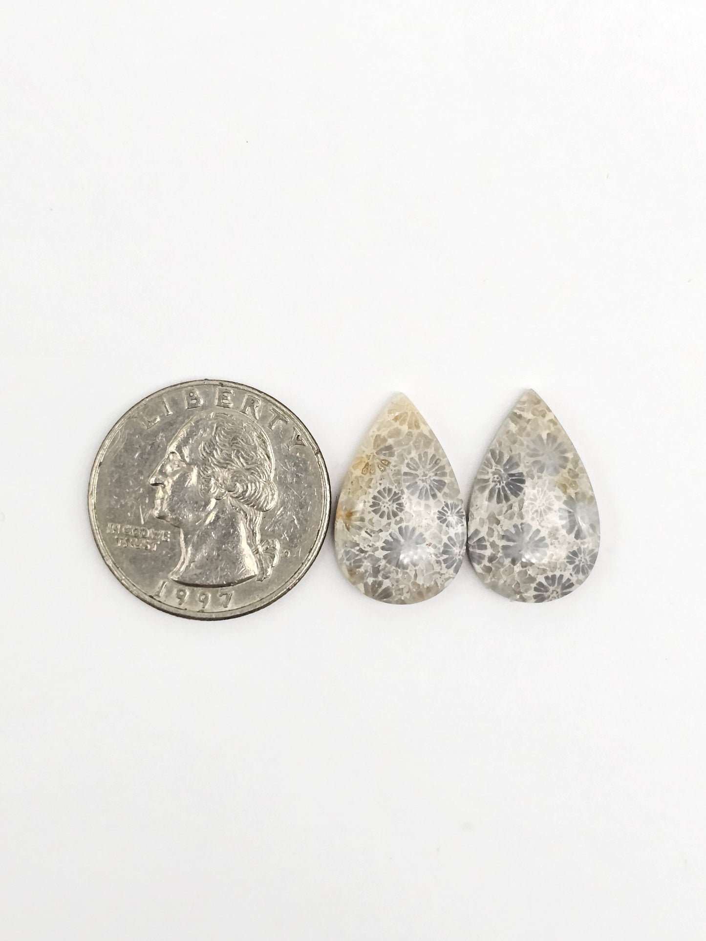 Fossilized Coral Agate Pair