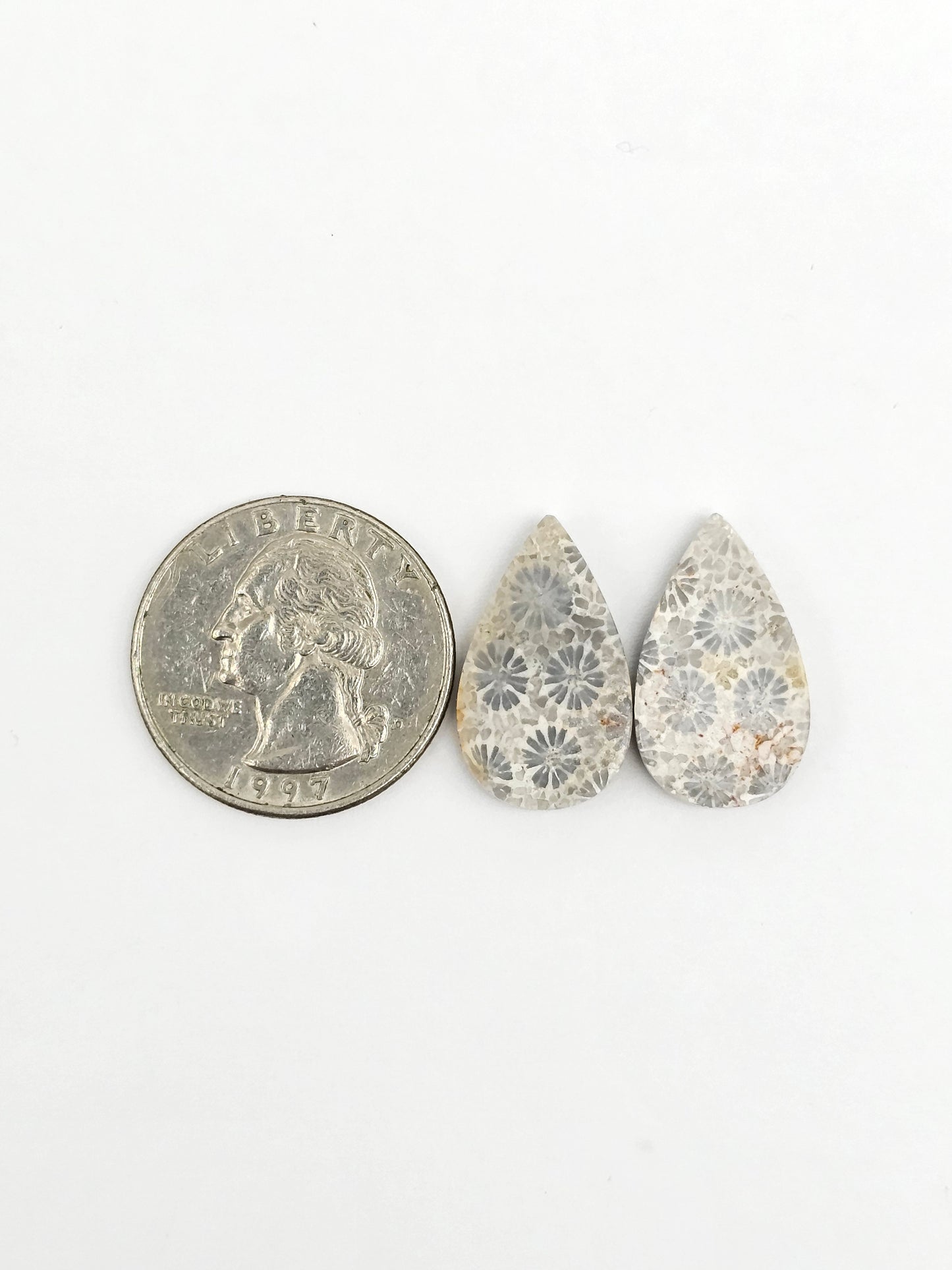 Fossilized Coral Agate Pair
