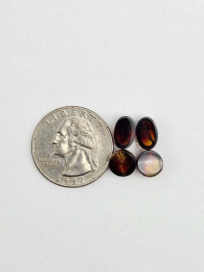 Red Amber Authentic Cabochon Pairs
