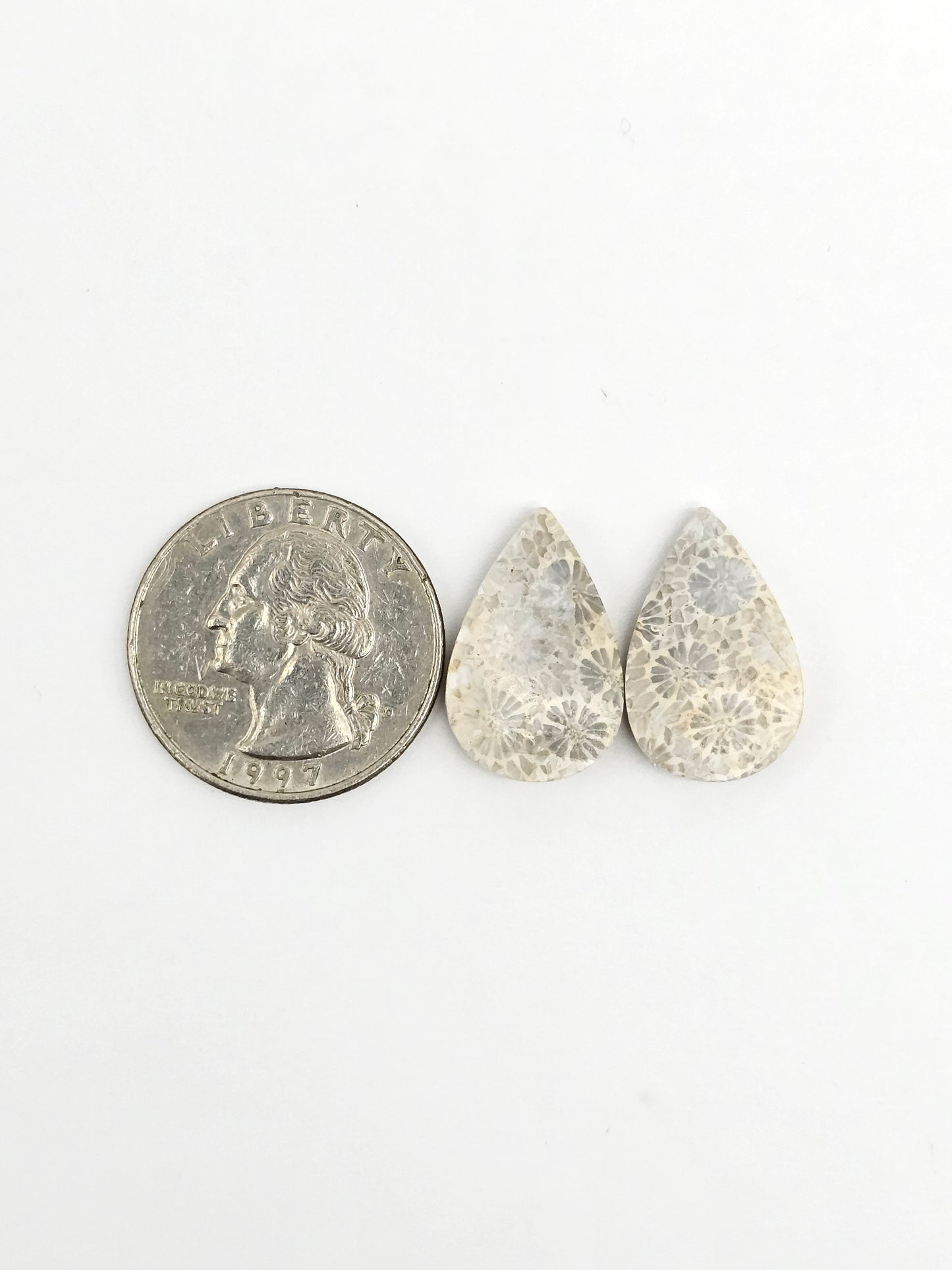 Fossilized Coral Agate Pair