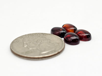 Red Amber Authentic Cabochon Pairs