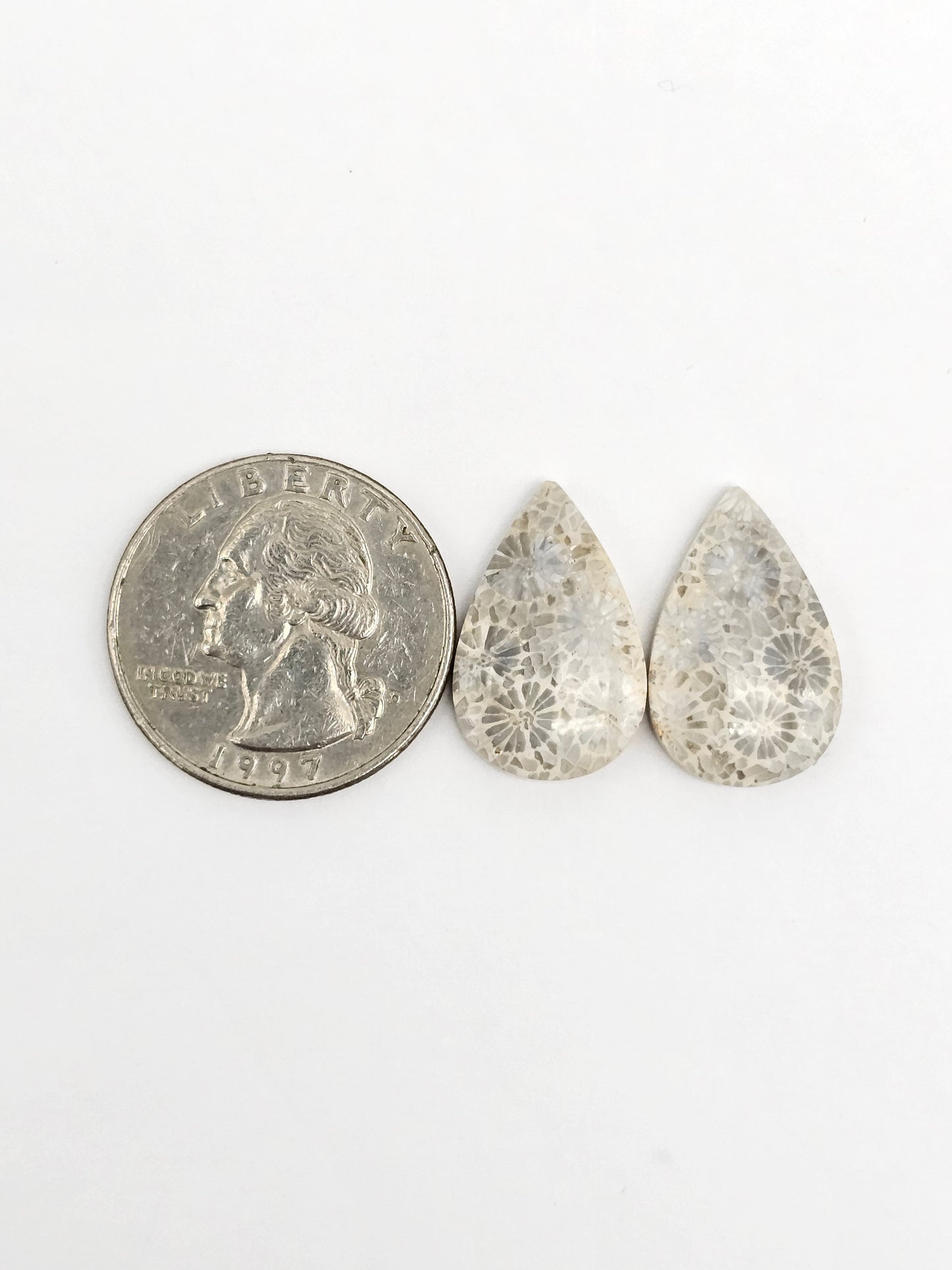 Fossilized Coral Agate Pair