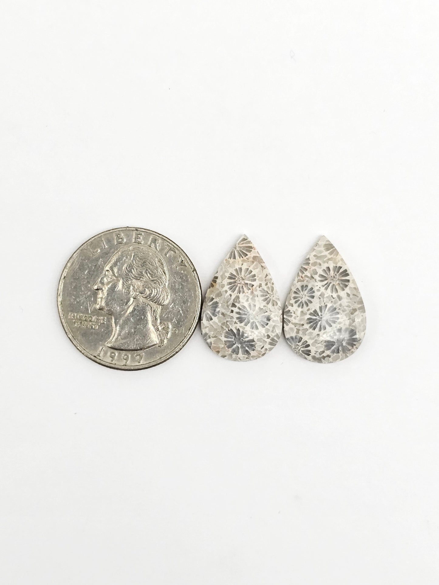 Fossilized Coral Agate Pair