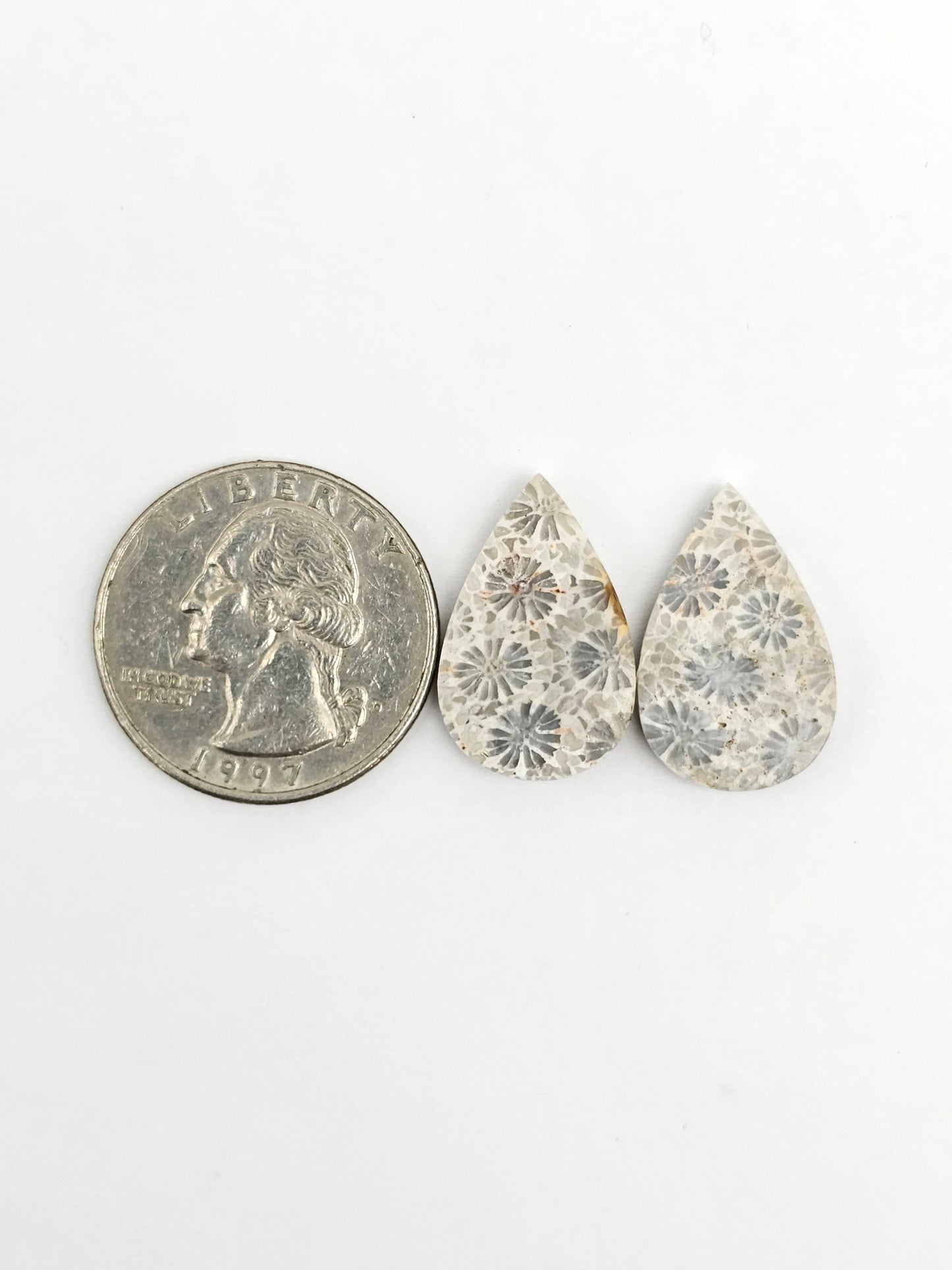 Fossilized Coral Agate Pair