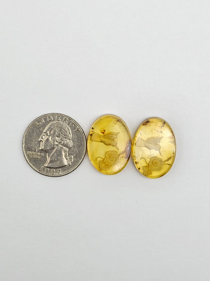 Amber Intaglio Cabochon Pair | Hand-Carved Natural Amber