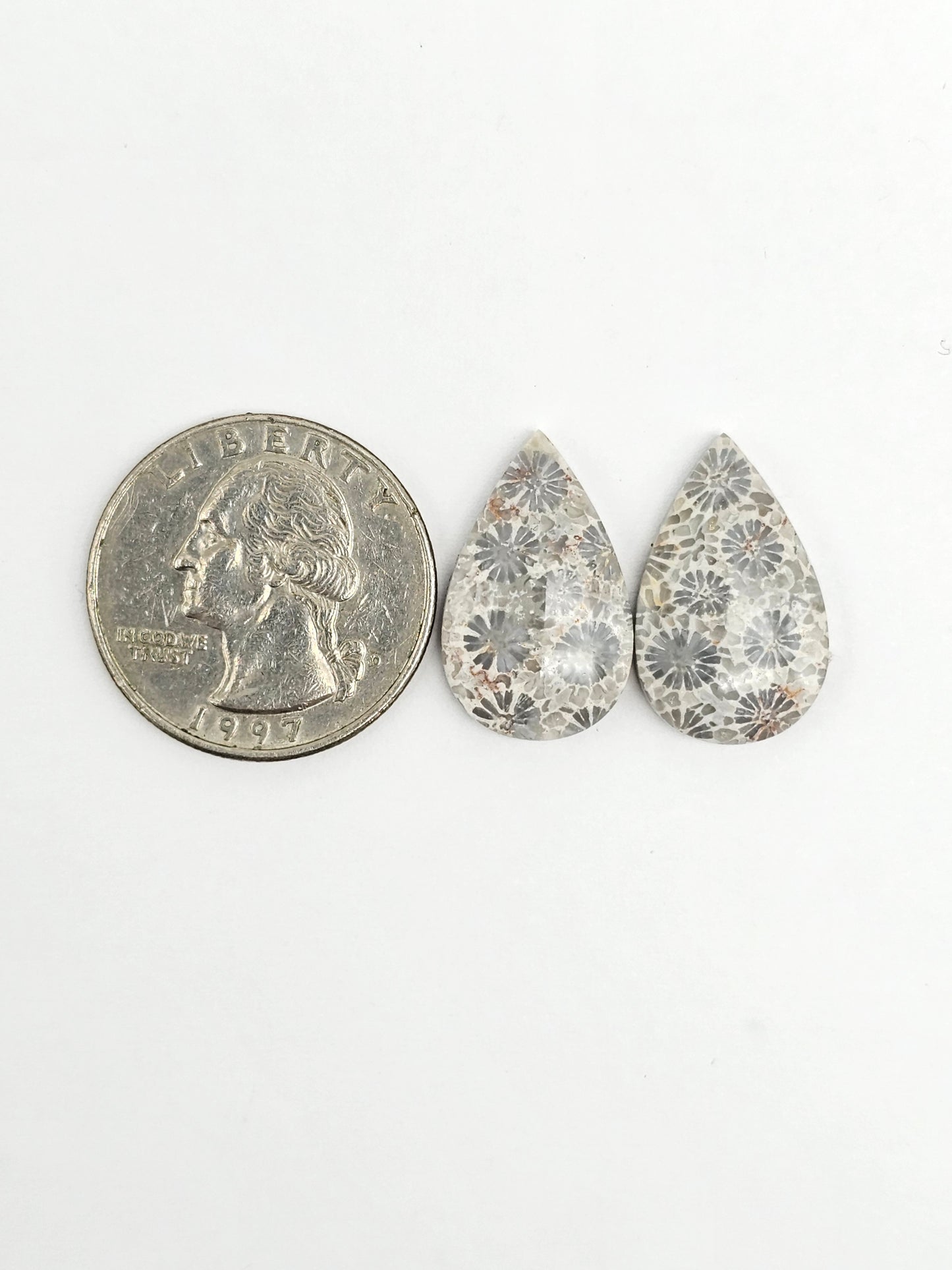 Fossilized Coral Agate Pair