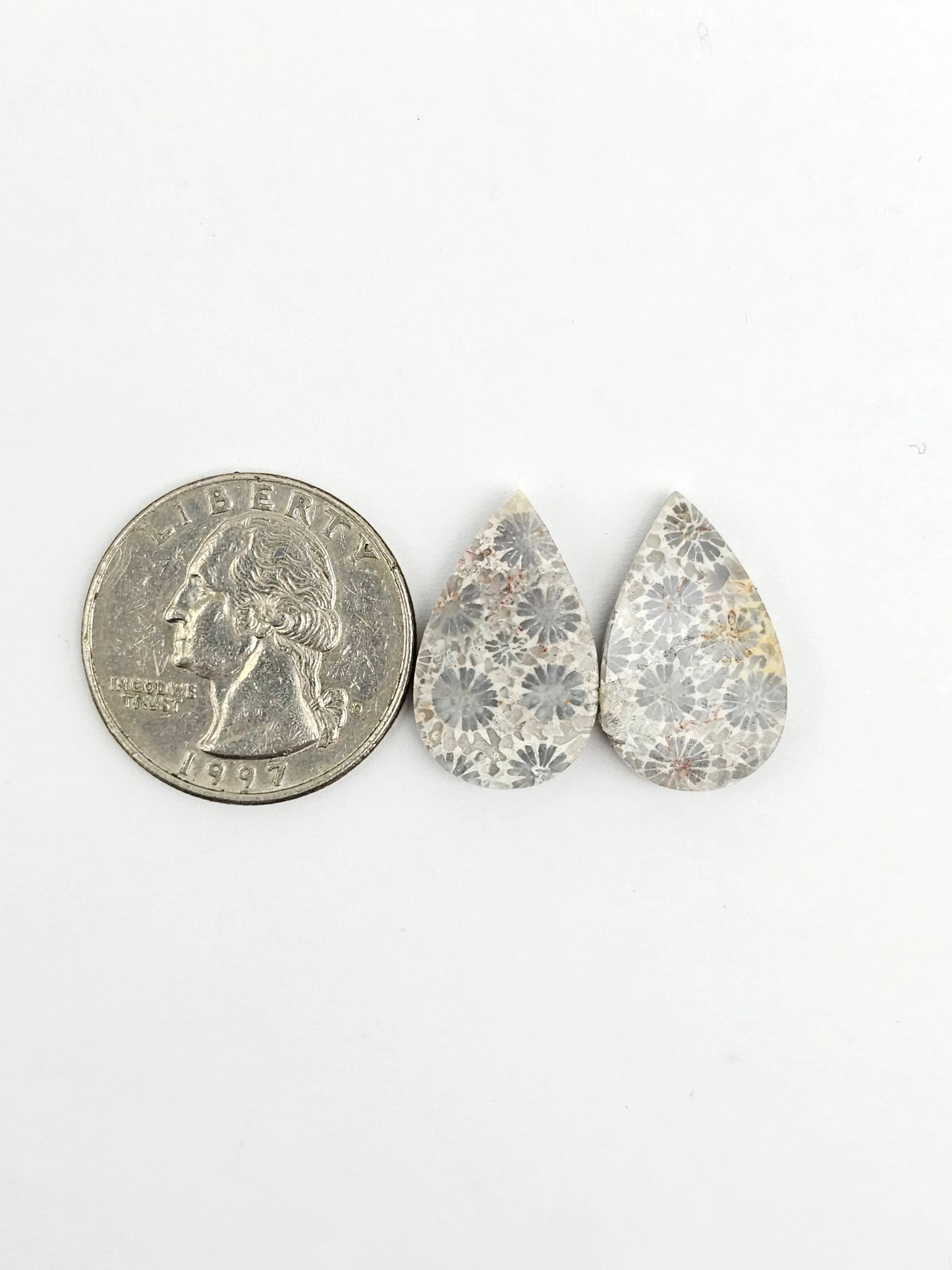 Fossilized Coral Agate Pair