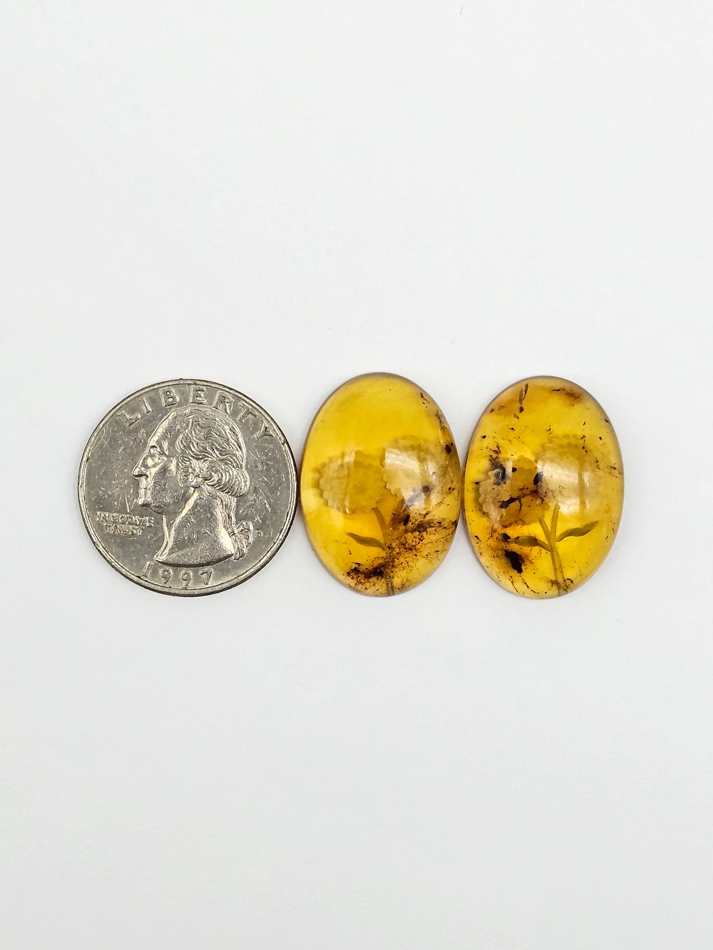Amber Intaglio Cabochon Pair | Hand-Carved Natural Amber