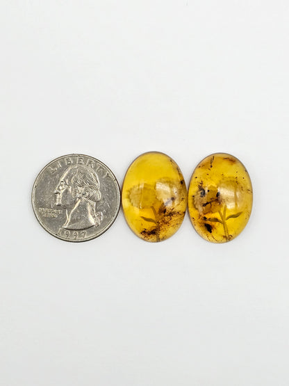 Amber Intaglio Cabochon Pair | Hand-Carved Natural Amber