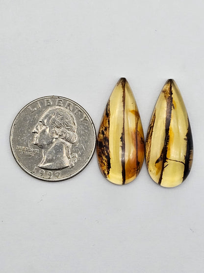 Amber authentic cabochon pair large
