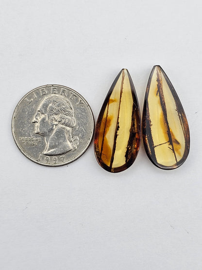 Amber authentic cabochon pair large