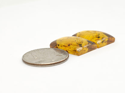 Amber Intaglio Cabochon Pair | Hand-Carved Natural Amber