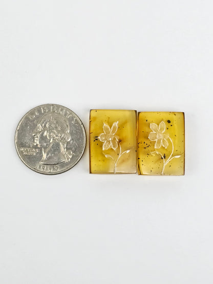 Amber Intaglio Cabochon Pair | Hand-Carved Natural Amber