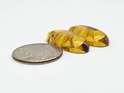 Amber Intaglio Cabochon Pair | Hand-Carved Natural Amber
