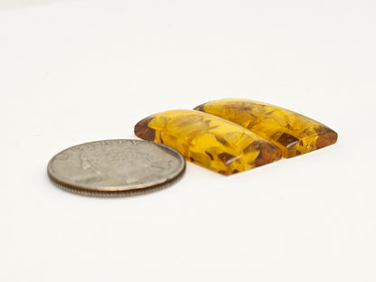 Amber Intaglio Cabochon Pair | Hand-Carved Natural Amber