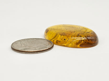 Amber Intaglio Cabochon | Hand-Carved Natural Amber