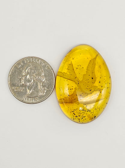 Amber Intaglio Cabochon | Hand-Carved Natural Amber