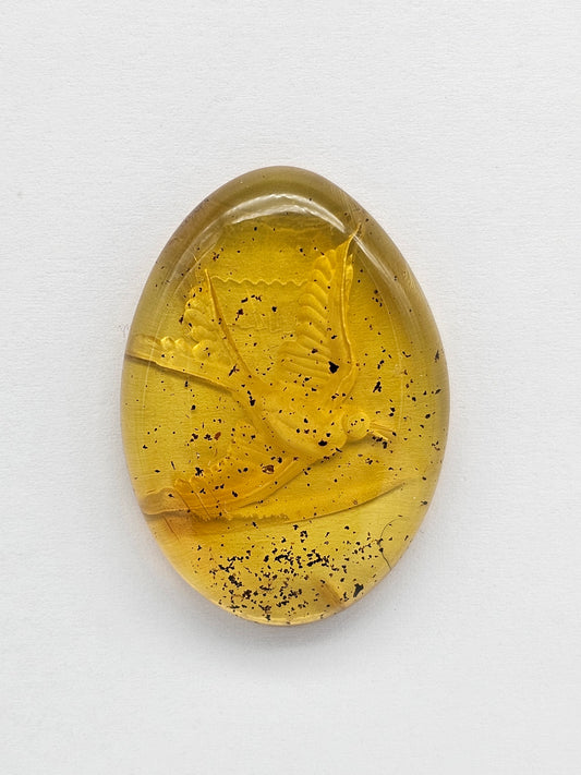 Amber Intaglio Cabochon | Hand-Carved Natural Amber