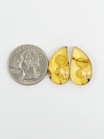 Amber Intaglio Cabochon Pair | Hand-Carved Natural Amber