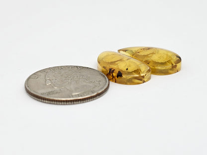 Amber Intaglio Cabochon Pair | Hand-Carved Natural Amber