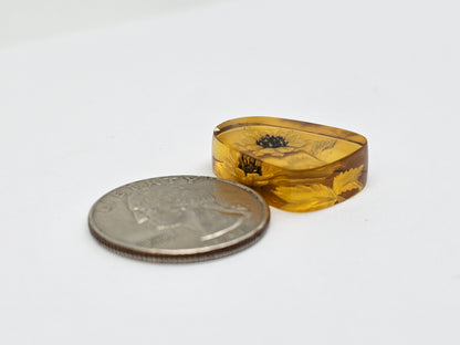 Amber Intaglio Cabochon | Hand-Carved Natural Amber