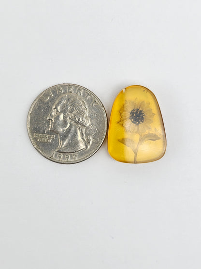 Amber Intaglio Cabochon | Hand-Carved Natural Amber