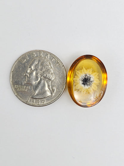 Amber Intaglio Cabochon | Hand-Carved Natural Amber
